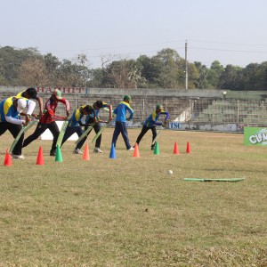 .Clemon All-Rounder Tips